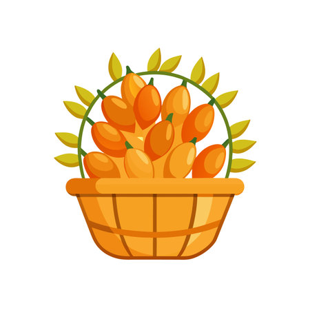 Sea Buckthorn Berries in Basket, Healthy Fruitのイラスト素材