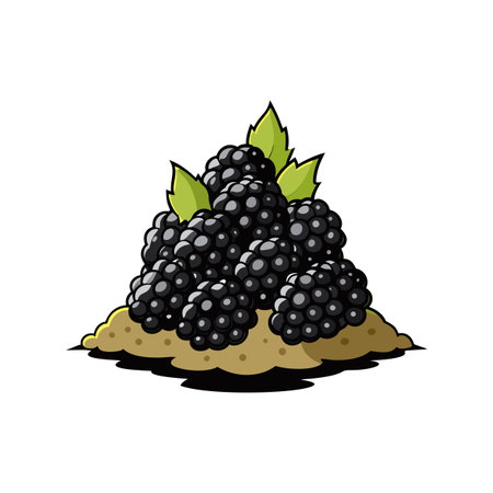 Blackberries with Leaves Illustration on a Moundのイラスト素材