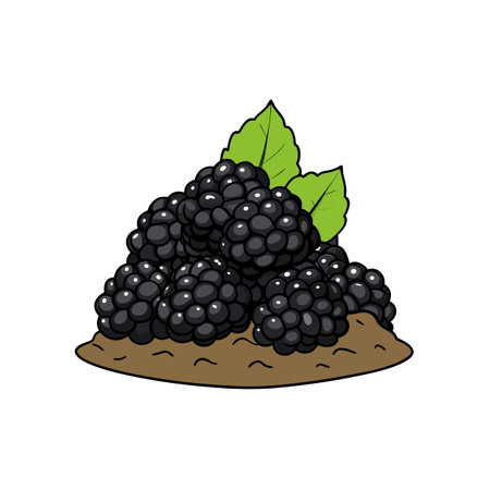 Pile of black cartoon blackberries with green leavesのイラスト素材