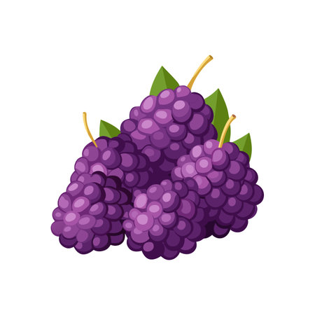 Illustration of fresh, ripe mulberries with green leavesのイラスト素材