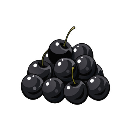 Pile of Black Cherries, Ripe and Delicious Fruitのイラスト素材