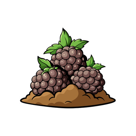 Blackberries cartoon illustration, delicious and healthy, sweet fruitのイラスト素材