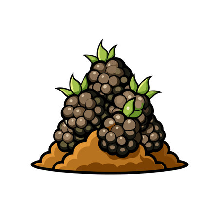 Delicious blackberries vector illustration for healthy eating designのイラスト素材