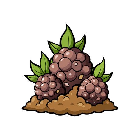 Cartoon blackberries growing on dirt with leaves illustrationのイラスト素材
