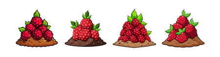 Cartoon raspberries on soil hill with leaves illustrationのイラスト素材