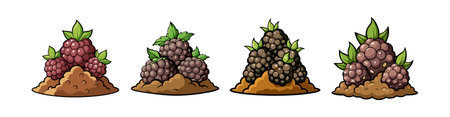 Cartoon Blackberries on Mound - Isolated Vector Illustrationのイラスト素材