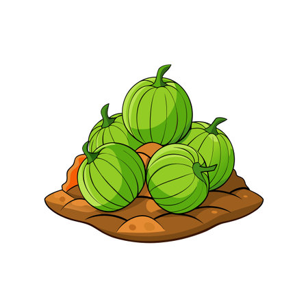 Stack of Green Watermelons on Patchy Soil Illustrationのイラスト素材