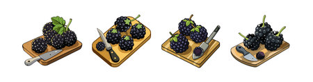 Blackberries on a cutting board with a knife illustrationのイラスト素材