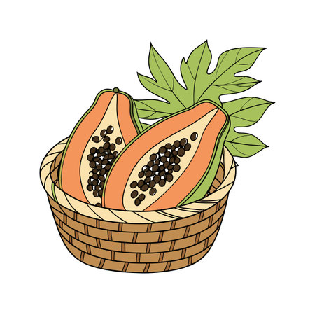 Illustration of papaya fruit in a woven basket.のイラスト素材