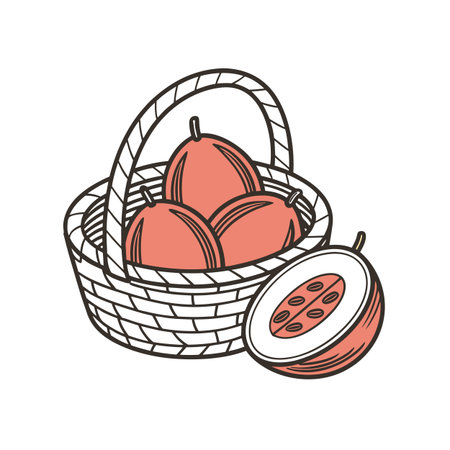 Rose apples in basket illustration, organic fruit drawingのイラスト素材