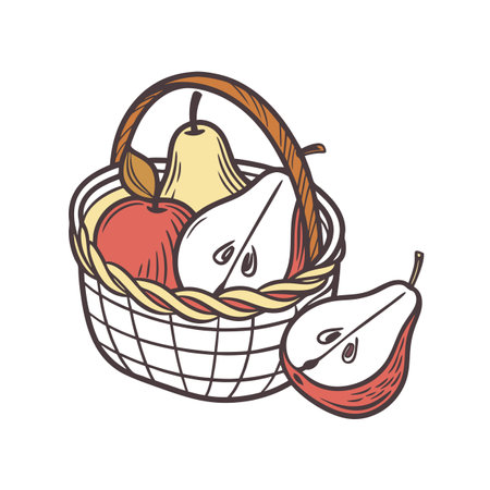 Basket of fruits: apple and pears, organic harvestのイラスト素材