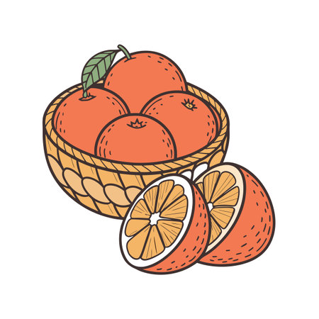 Orange basket with sliced oranges isolated on whiteのイラスト素材