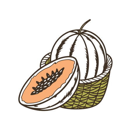 Papaya in basket vector illustration, tropical healthy fruitのイラスト素材