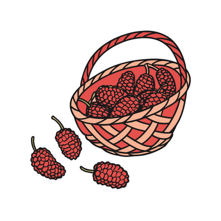 Basket of Mulberries: Fresh, Juicy, Delicious Summer Harvestのイラスト素材