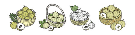 Gooseberries in a basket cartoon illustration vector artのイラスト素材