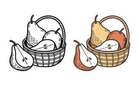 Pears in a Basket: Healthy Fruit Harvest Still Lifeのイラスト素材