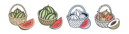 Watermelons in a basket with a watermelon sliceのイラスト素材