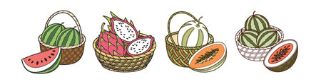 Watermelon Basket Fresh Summer Fruit Illustration Vectorのイラスト素材