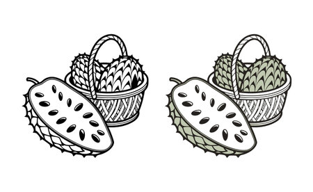 Soursop Fruit in a Basket and Sliced Halfのイラスト素材