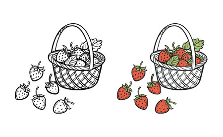 Basket with Strawberries: Fresh Fruit, Summer Harvestのイラスト素材