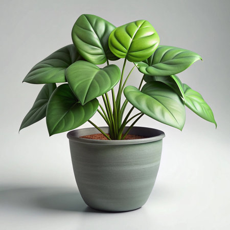 House plant realistic photographyの写真素材