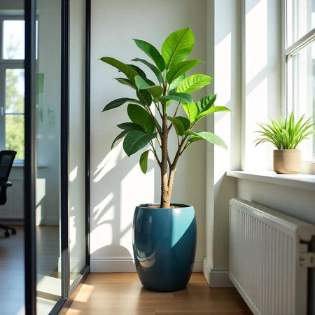 Indoor plants create a bright and inviting office spaceの写真素材