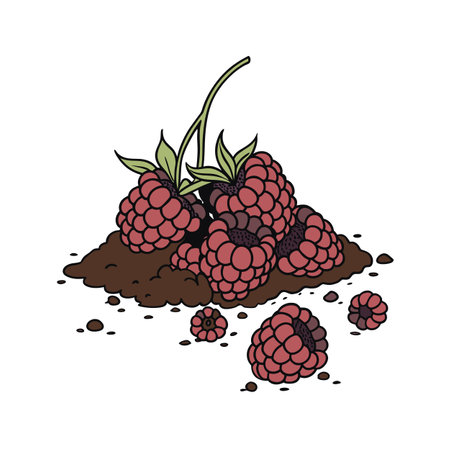 Illustration of ripe raspberries on soil heap vector imageのイラスト素材