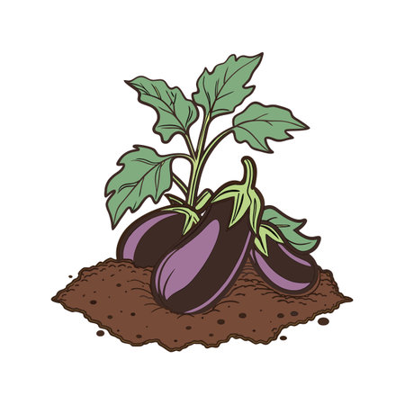Eggplant vegetable growing plant in dark soil illustration styleのイラスト素材