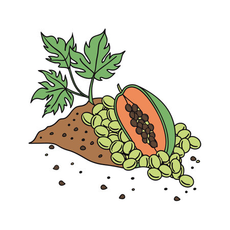 Papaya fruit with seeds illustration in the cartoon styleのイラスト素材