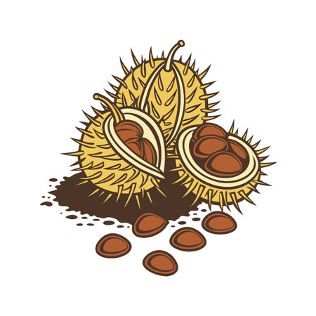 Illustration of buckeyes with spiky shells and brown seedsのイラスト素材