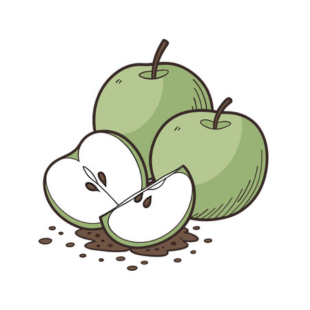 Hand drawn illustration of green apples with apple slicesのイラスト素材
