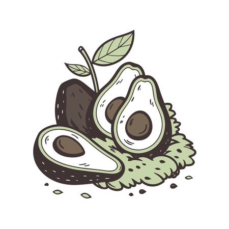Hand drawn avocado halves with leaves on light green backgroundのイラスト素材