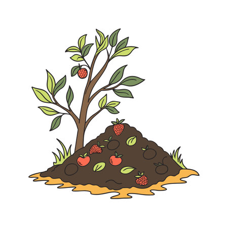 Illustration of raspberry plant with berries and fertile soilのイラスト素材