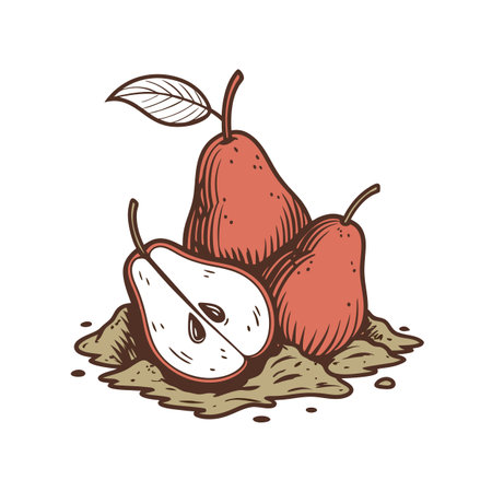 Fresh pears arrangement with sliced pear isolated on whiteのイラスト素材