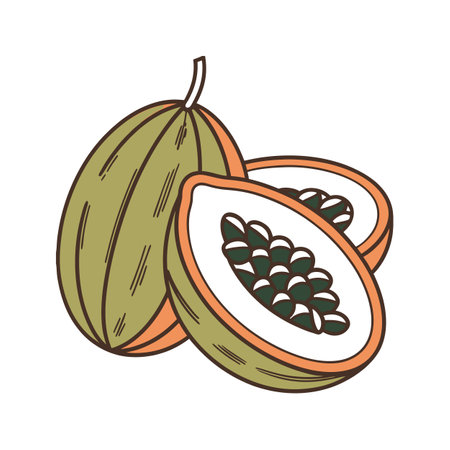 Stylized papaya illustration with green peel and orange fleshのイラスト素材