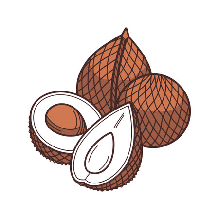 Salak fruits composition with opened fruit on white backgroundのイラスト素材