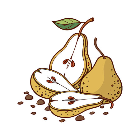 Pear Illustration Still Life: Cut and Whole Yellow Fruitsのイラスト素材
