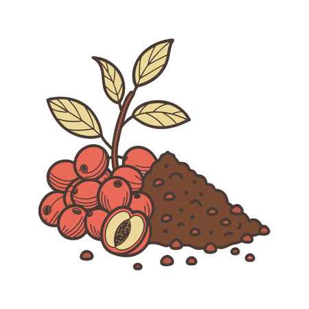 Cartoon rendering of coffee cherries and coffee grounds illustrationのイラスト素材