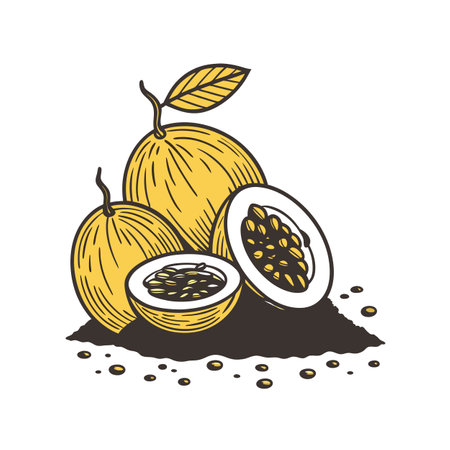 Passion Fruit Still Life Graphic Illustration on White Backdropのイラスト素材