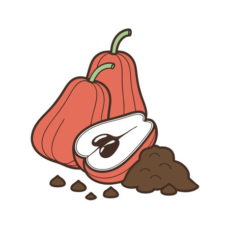 Stylized cartoon illustration of water apples with seedsのイラスト素材