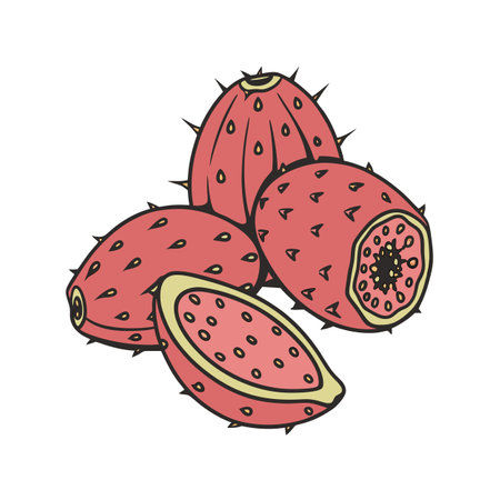 Illustration of vibrant prickly pears stacked on white backgroundのイラスト素材