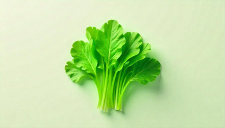 Fresh green spinach leaves on light green background. Healthy food concept.の写真素材