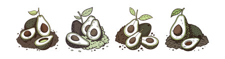 Three avocados arrangement on brown soil, stylized illustration
