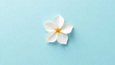 White Plumeria flower on blue background, center composition