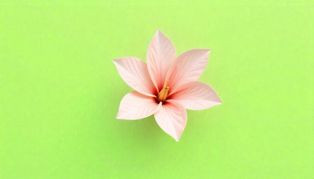Elegant pink flower blossom on a vibrant green backgroundの写真素材