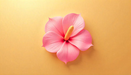Pink hibiscus flower with soft pink petals on yellow backgroundの写真素材