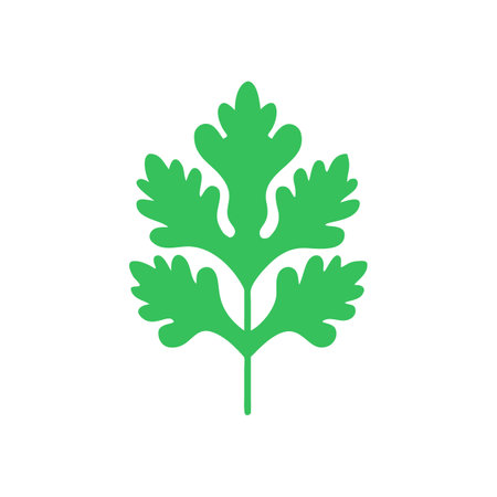 Fresh Cilantro Leaf Culinary Iconのイラスト素材