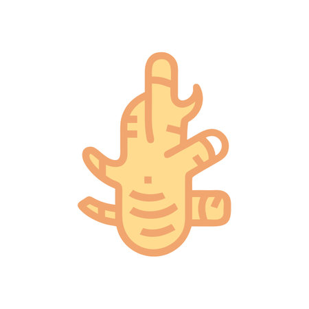 Galangal Root Vector for Culinary Use
