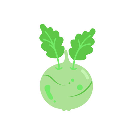 Elegant Kohlrabi Design for Menusのイラスト素材