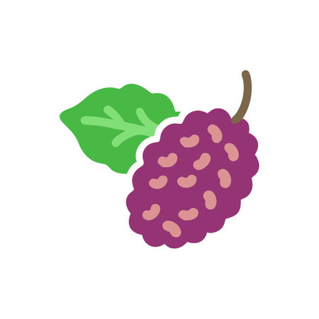 Mulberry Vector for Nutritious Dishesのイラスト素材